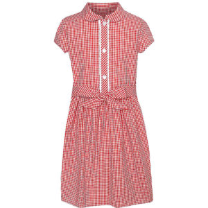 Summer Dress (Red Collar) - button front