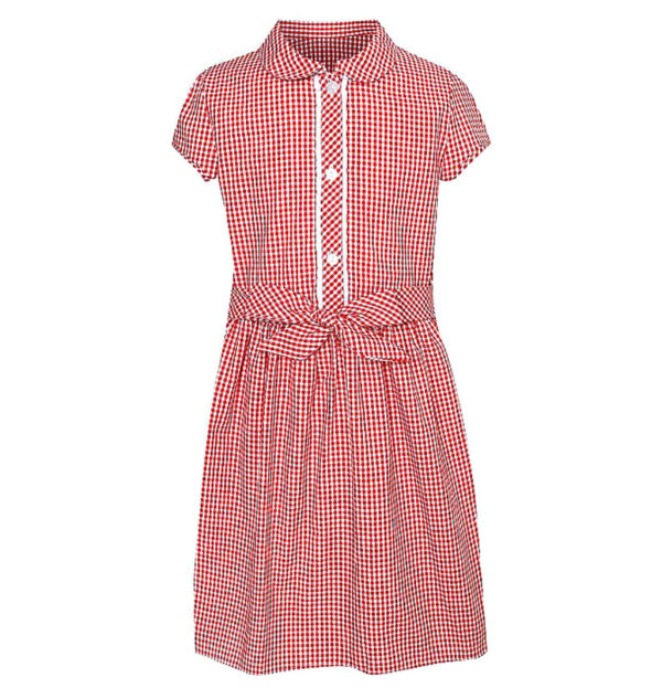 Summer Dress (Red Collar) - button front