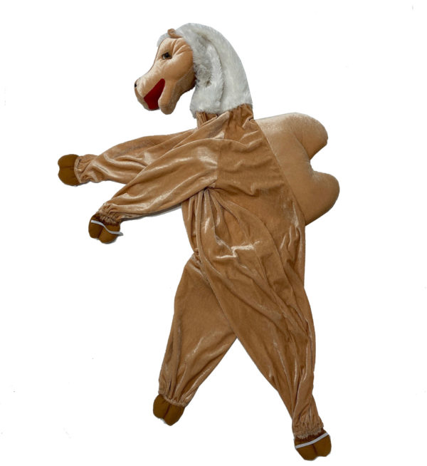 White Head Camel (Age 7-8) Hire