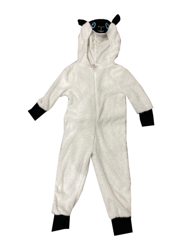 Sheep Age 5-6 Hire