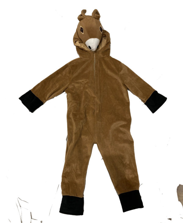 Donkey age 3-4 (Hire)