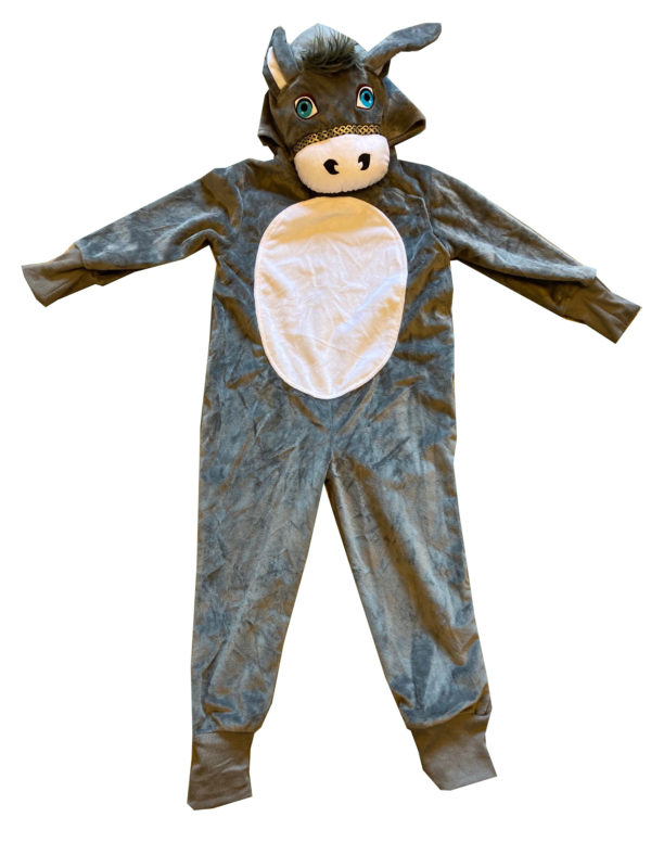 Donkey Age 5-6 (Hire)