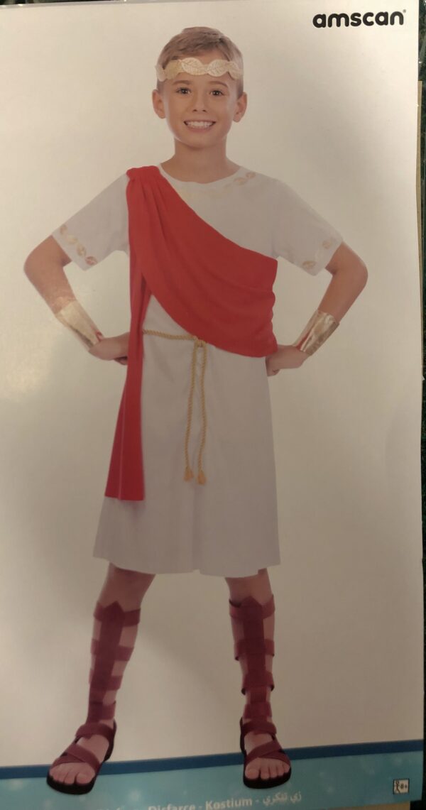 Greek Toga costume - Size 8-10 (Hire)