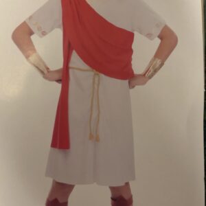 Greek Toga costume - Size 8-10 (Hire)